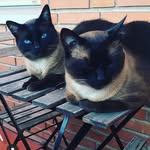 Silvério&Ramón - @silverio__ramon - Instagram