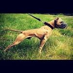 Ramon Teran - @ramon.teran.560 - Instagram