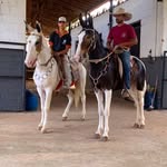 ramon viera - @ramonviera96 - Instagram