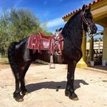 Ramon Vigil - @ramon.vigil.1291 - Instagram