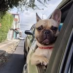 RAMON - @ramon_webbley_ - Instagram