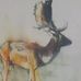 Ramon Webb - Facebook