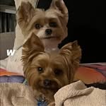 Ramon Wells - @dotdotdotrecords2 - Instagram