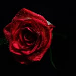 Ramona Blake - @ramonablakebooks - Instagram