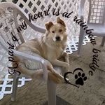 Dave-Ramona Blanton - @ramona_daveblanton - Instagram