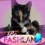 Ramona Blanton - @nvpawz - Instagram