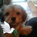 Ramona Blevins Whisenhunt - Facebook
