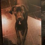 Ramona Blumenberg - @blumenbergramona - Instagram
