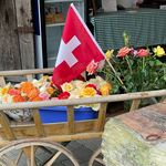 Schweiz - @ramona_blumhagen - Instagram