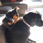 Ramona Bosch Arques - @boscharques - Instagram