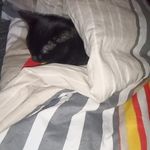 Ramona Bosch Schröder - @findusweidig - Instagram