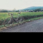 @ramonabrewerc - Instagram