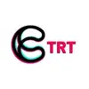 CreativeTRT - @ramonabrooks20013 - TikTok