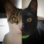 Bruce & Ramona - @bruce_y_ramona - Instagram