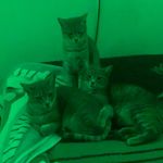 E. G. - @bruce_leonora_ramona - Instagram