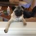 Ramona Bruce - Facebook