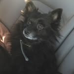 Ramona Burrows - @ramona.burrows.56 - Instagram