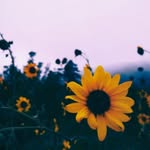 @ramonatamburro - Instagram