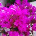 Ramona Cadena - Facebook