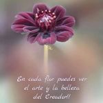ramona cadenas - @cadenas_ramona - Instagram