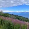 Ramona Carver - @ramona.carver - TikTok