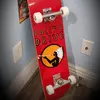 Ramona Skate Champions - @ramonaskatepark - TikTok