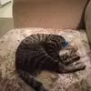 ramonachampion496 - @ramonachampion496 - TikTok