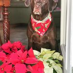 Ramona Rose Clark - @ramonaclark - Instagram