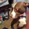 ramonaclayton147 - @ramonaclayton147 - TikTok