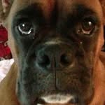 Ramona Cox Bibbs - @ramona_bibbs - Instagram