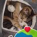 Didion Ramona - Facebook