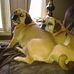 Ramona Brown-Good - Facebook