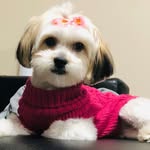 Dr. Ramona Gresham - @dr_monag - Instagram