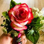 Ramona Herrmann - @herrmann1617 - Instagram