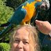 Ramona Herrmann - Facebook