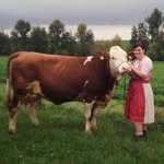 Ramona Herrmann - @ramonas_fleckviehliebe - Instagram