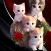 Ramona Herrmann - @ramona.herrmann4 - TikTok
