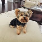 Ramona Holmes - @ramona.holmes - Instagram