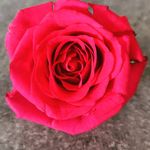 Ramona Lang - @anomar111 - Instagram