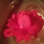 Ramona Lynn - @rlsandersfeld - Instagram