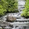 Ramona Mclean1 - @ramona.mclean1 - TikTok