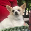 Ramona Atkins Pace - @mo.p9195 - TikTok