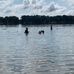 The Beach At Ramona Park - Facebook