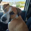 Ramona Roberts - @ramona.roberts10 - TikTok