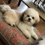 Ramona Roberts Rhodes - @ramonarobertsrhodes - Instagram