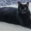 Ramona Rollins - @ramona.rollins8 - TikTok