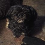 Ramona Ross - @tinkle_52 - Instagram