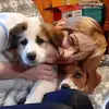 Ramona Ruetta - @ramonaruetta - TikTok