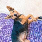 Rue Ramona Herring - @rue.ramona - Instagram