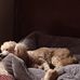 Ramona Schafer - Facebook